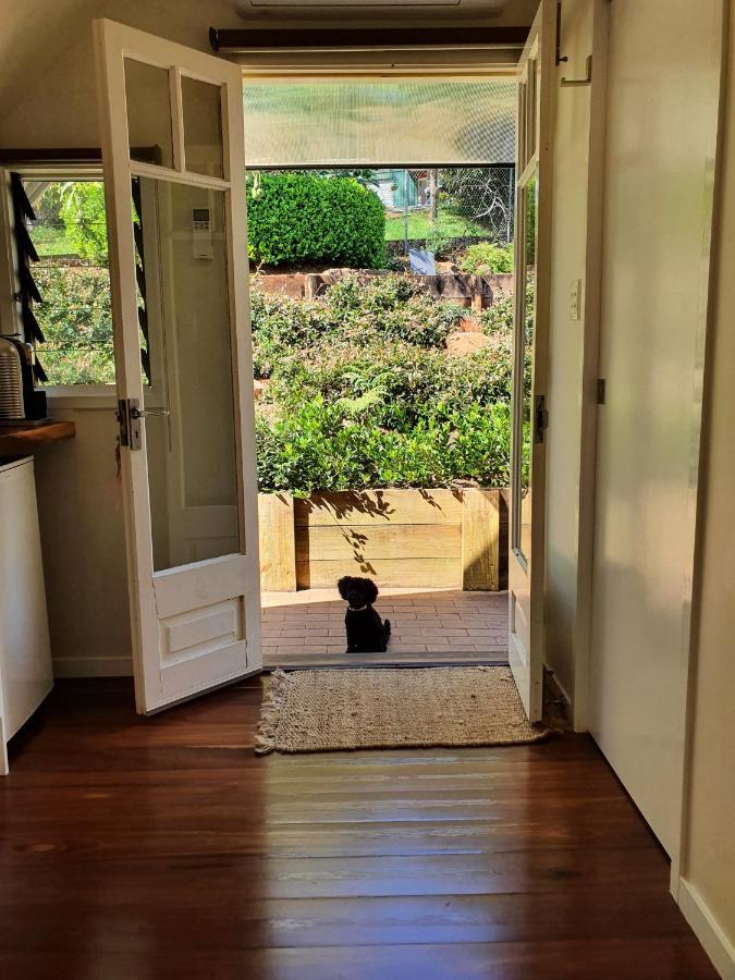 Mountain Studio Escape Mount Tamborine Exterior foto